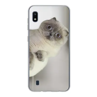 Produktbild von MuchoWow® Handyhülle Schutzhülle Hülle für Samsung Galaxy A10 Katze - Tier - Wohnzimmer Silikon Softcase Handy Hülle - Schutzhülle