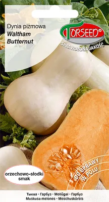 Produktbild von Waltham Butternuss-Kürbiskerne 3g - Torseed