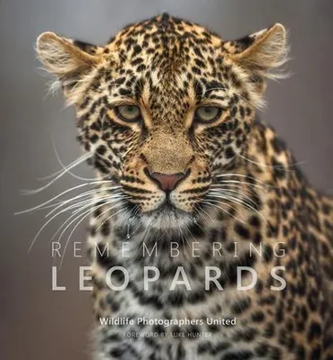 Obrázok produktu pre Remembering Leopards