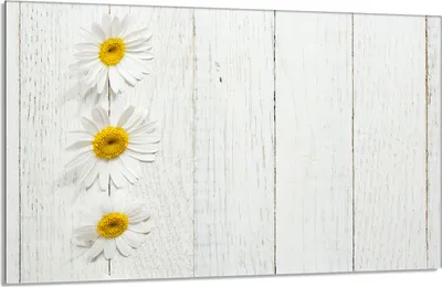 Immagine prodotto di Piastra di copertura del piano cottura 80x52cm 1 pezzo copertura del piano cottura in Vetroceramica, margherita