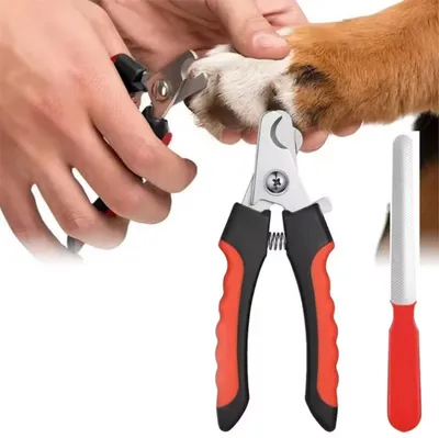 Image de CHPN – Coupe-ongles – Lime à ongles – Ciseaux à ongles pour chiens/chats – Coffret – Coupe des griffes d'animaux – Coupe des griffes de chiens – Rouge – Coupe-cheveux et lime
