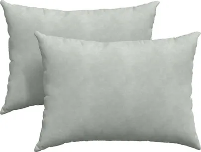 Image de vidaXL Coussins de canapé 2 pièces gris clair 70 x 50 cm Tissu velours côtelé