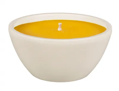 Obrázok produktu pre Nohel Garden Candle CITRONELLA MERKUR jardine d15x7cm