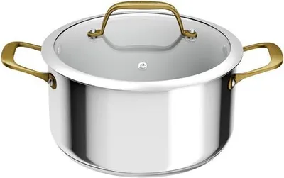 Image de Faitout Inox 24cm Paul Bocuse Acier Inoxydable, Couvercle Verre, Polyvalence Culinaire - Gpe Seb France Tefal Menage