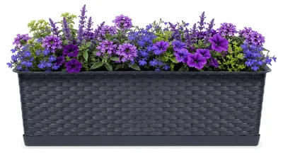 Imagen del producto de Caja con plato RATOLLA CASE, 48,9 cm - color: antracita