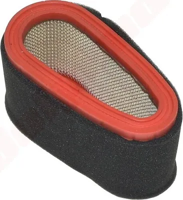 Immagine prodotto di Filtro aria Per Ggp Stiga Wm , Tre0701 , Tre0801 ( 118550199/0 , 11850202/0 ) 85X55/70X150