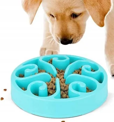Produktbild von Großer Hundenapf für langsames Hundefutter, XXL, 500 ml
