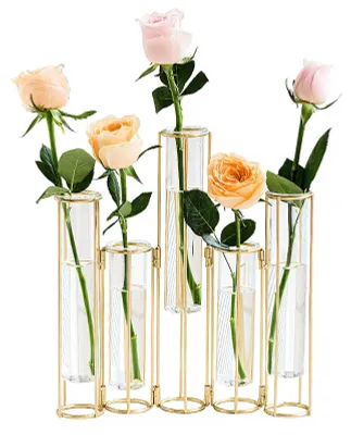 Produktbild von Set aus 5 Glas Reagenzglas Vasen für Dekoration