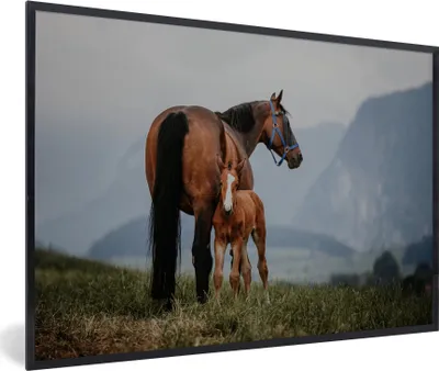 Produktbild von MuchoWow® MuchoWow® Gerahmtes Poster Pferd - Fohlen - Berg 30x20 cm - Poster mit zchwarzem Bilderrahmen - Kunstdruck - Bild-Poster