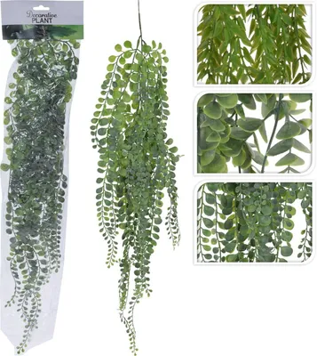 Obrázek produktu pro Visící Rostlina 80 Cm 3 Druhy
