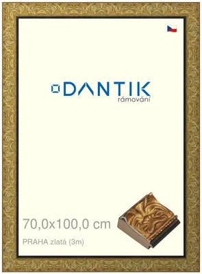 Obrázek produktu pro DANTIK rámeček 70x100 | PRAHA zlatá (Plexi Čiré)