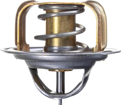 Zdjęcie produktu dla Termostat Opel, Vag