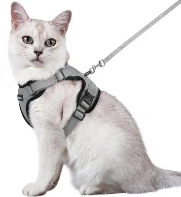 Produktbild von Famanu Katzengeschirr mit Leine - Weiches, verstellbares Katzenharness in Grau, Größe M