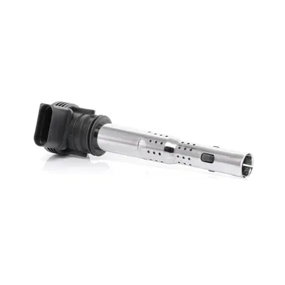 Produktbild von BorgWarner (BERU) ZSE033 Zündspule 12V für VW GOLF VI (5K1) Golf V Schrägheck (1K1) Polo Schrägheck (6R1, 6C1) für AUDI A4 Avant (8K5, B8) A6 Avant