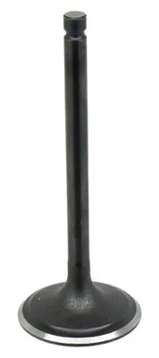 Productafbeelding van Inlaatklep Yamaha Yfm 350/400, Stal (40X7X102,6 Mm) (Oem: 1Uy-12111-01-00)
