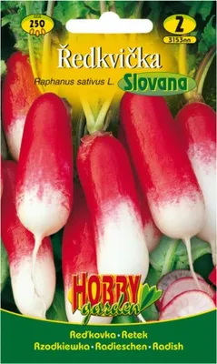 Obrázek produktu pro Ředkvička červenobílá SLOVANA