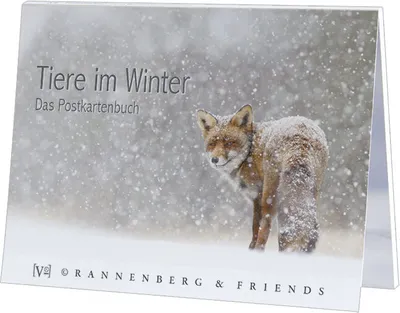 Produktbild von Postkartenbuch Tiere im Winter Postkartenbücher Ansichtskarte Postkarte Tier Schnee
