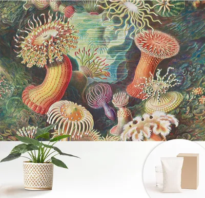 Produktbild von Fototapete - 152x104 cm - Tapete - Wandtapete - Wandbilder - Dekofolie - Tapete Folie - Wand - Dekoration - Wohnzimmer - Zieranemonen