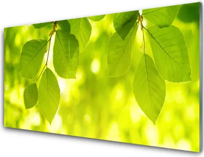 Produktbild von Acrylglasbilder 100x50 Wandbild Druck Blätter Pflanzen