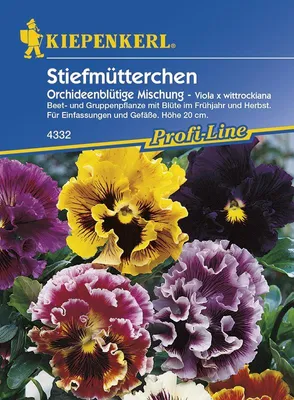 Produktbild von [STREICHUNG 2025] Stiefmütterchen Orchideenblüten Mischung | Stiefmütterchensamen von Kiepenkerl