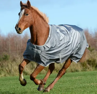 Immagine prodotto di Bucas Outdoordecke 150g Smartex Turnout Weidedecke Iron Gate 115