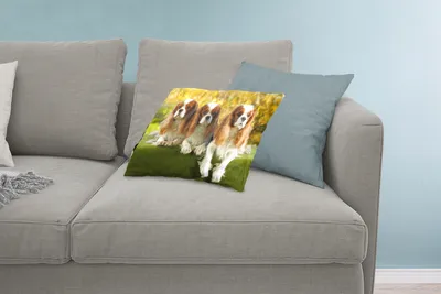 Produktbild von MuchoWow® Zierkissen Sofakissen Wohnzimmer Dekokissen 60x40 cm Drei schöne Cavalier King Charles Spaniels nebeneinander - Kopfkissen - Polster mit Foto