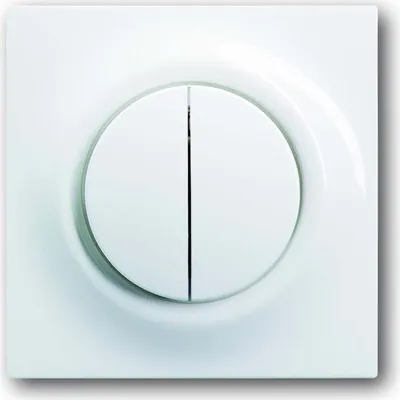 Immagine prodotto di Busch-Jaeger Piastra centrale aws 1785-74 2CKA001753A4856