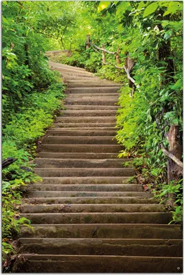 Produktbild von Wallario Outdoor-Poster für Garten oder Balkon, Motiv Steintreppe im Wald, in ca. 61 x 91,50 cm
