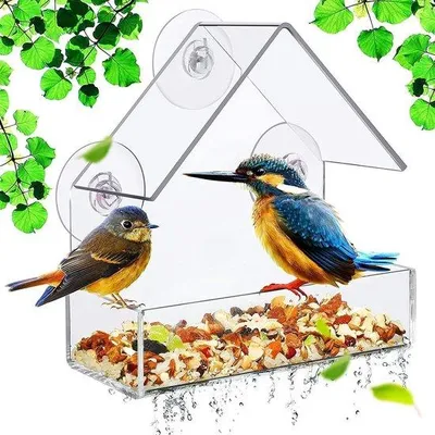 Image de Gamelle pour oiseaux - transparente - pour le rebord de fenêtre