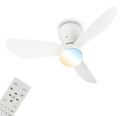 Obrázek produktu pro Stropní ventilátor s osvětlením Dálkové ovládání Ventilátor se světlem Stmívatelné CCT