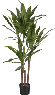 Zdjęcie produktu dla Sztuczna roślina Mica Decorations Dracaena - H100 x Ø70 cm - Zielony