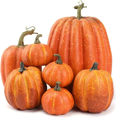 Zdjęcie produktu dla Sztuczne dynie - 7 sztuk - Dekoracyjne dynie - Dekoracje jesienne - Idealne na Święto Dziękczynienia i Halloween