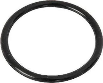 Produktbild von Bestway® Ersatzteil O-Ring (Wasserzulauf) für LAY-Z-SPA® HydroJet Pro™ Whirlpools (2021/22)