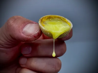 Obrázek produktu pro LK Baits Nutrigo Extra Cheese Průměr 24mm: Balení 250ml