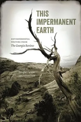 Produktbild von This Impermanent Earth