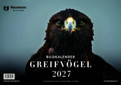 Produktbild von Greifvögel 2027 - Themenkalender