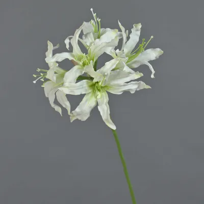 Produktbild von artplants.de Deko Gartenamaryllis KUSTANA, weiß, 70cm, Ø20cm - Kunstblume Amaryllis