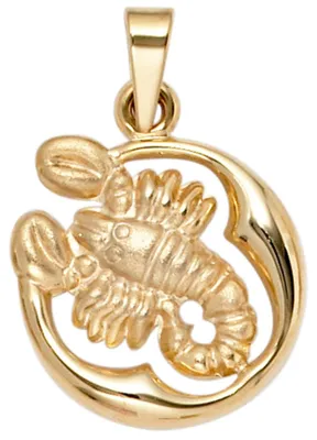 Produktbild von Anhänger Sternzeichen Skorpion 375 Gold Gelbgold teilmattiert Horoskop