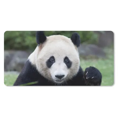 Produktbild von MuchoWow® Mauspad Mousepad Großer Panda - Gras - Steine 60x30 cm - Mousepads - Maus Mat - Pad - Mausunterlage - Nachhaltig