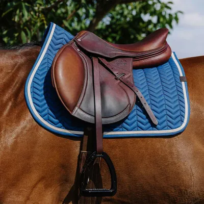 Image de Equithème, licol Softypop, taille : poney, couleur : bleu