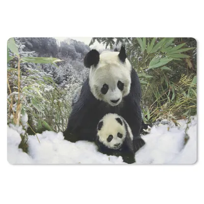 Produktbild von MuchoWow® Schreibtischunterlage Panda - Winter - Schnee 60x40 cm - XXL Mauspad - Großes Mauspad