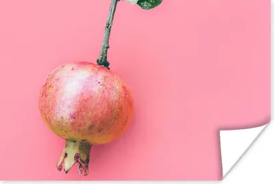 Produktbild von MuchoWow® Poster Pflanzen - Sommer - Rosa 180x120 cm - Fotoplakat