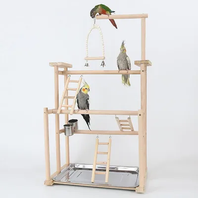 Produktbild von Vogelspielplatz mit Sitzstange 44x31x79cm Massivholz für Wellensittich Nymphensittich