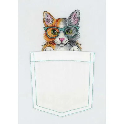 Productafbeelding van Verpakking met het woord "Kater" bedrukt, voor gebruik op kleding