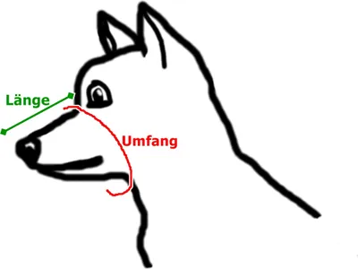 Produktbild von Hunde Metall Maulkorb Größe 3 für einen kleinen Spaniel Länge 8cm Umfang 25cm