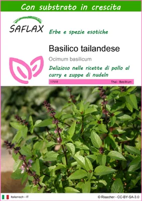 Immagine prodotto di SAFLAX  - Basilico tailandese - 200 semi - Con substrato - Ocimum