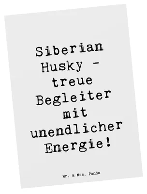 Produktbild von Mr. & Mrs. Panda Grußkarte Spruch Siberian Husky Energie - Weiß - Geschenk, Postkarte, einzelkarte, Ausdauer, Hunderassen Eigenschaften, Pflege, lebhafte Hunde, Fotokarte