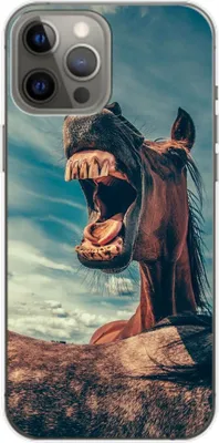 Produktbild von König Design Hülle kompatibel mit Apple iPhone 14 Plus Kunststoff Soft Handyhülle - Handy Case Lustiges Pferd