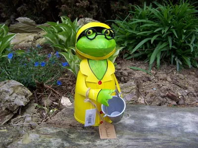 Produktbild von Zaunhocker Regen Frosch Eimer