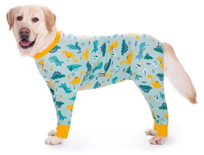Produktbild von Solidchoice – Elastischer Overall für große Hunde mit Gelenkschutz